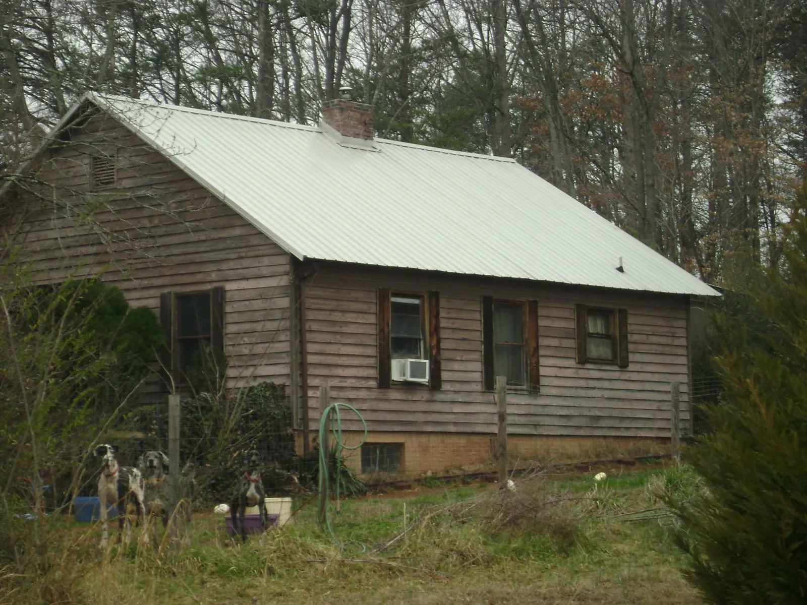 White metal roof on an old wood sided farmhouse, from a Asphalt Shingle Roof Repair job in Pine Meadow